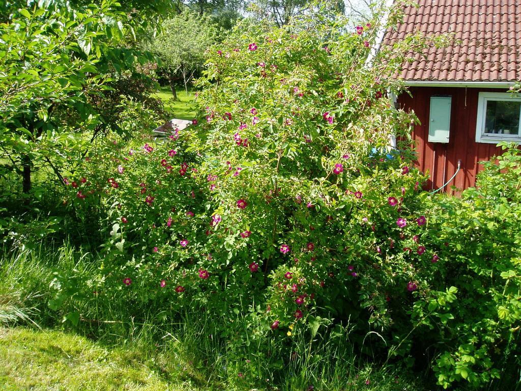Langesater B&B Lerdala Eksteriør bilde